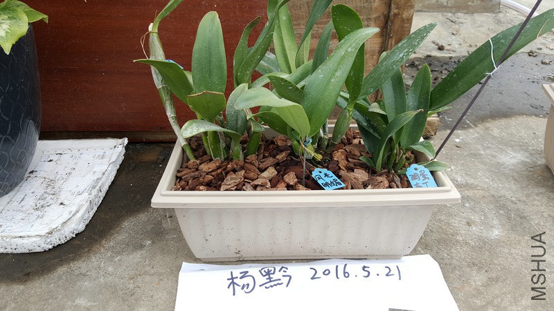 20160521_164845.jpg