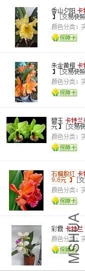 QQ��ͼ20160521173535.jpg