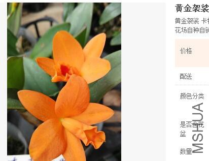 QQ��ͼ20160521173617.jpg