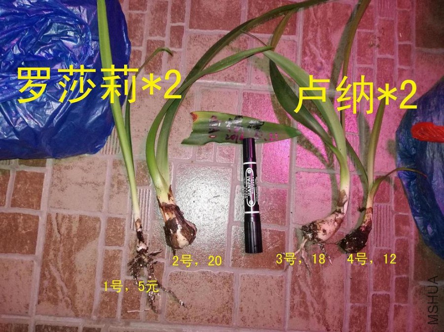 QQͼƬ20160521214010����.jpg