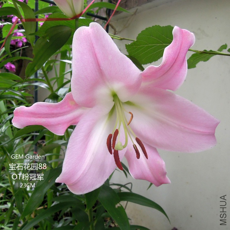 DSCN8430.JPG