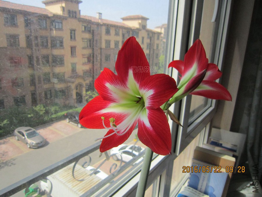 IMG_6799.JPG