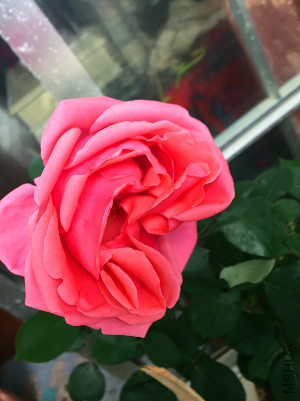 IMG_0856 (1)_����.jpg