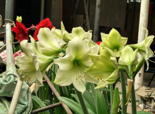 IMG_20160422_153305_HDR.jpg