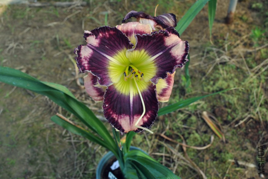 F1��888��������1 (9).jpg