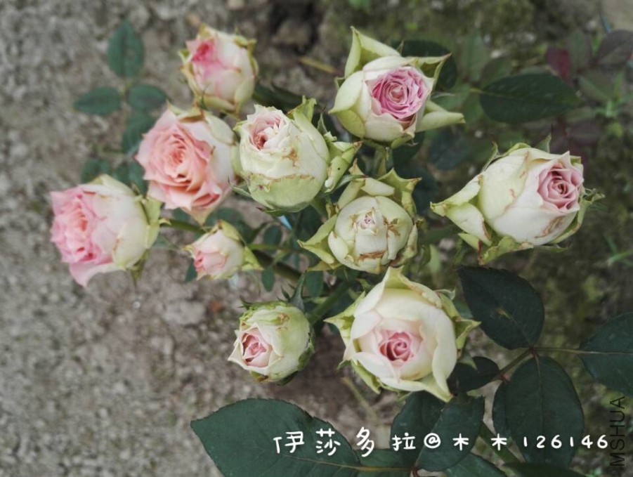 -37be8f55dc8b6962.jpg