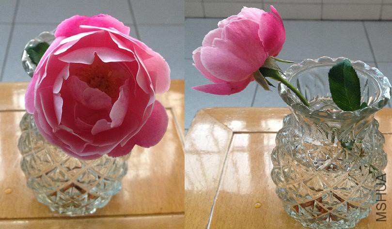 �۴� 2014.09.27.JPG