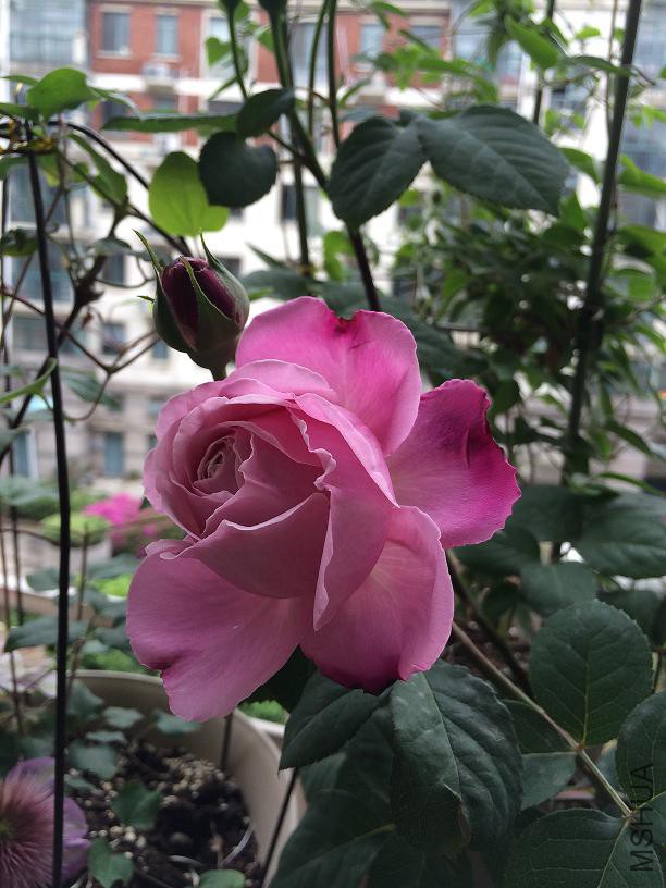 �۴� 2015.04.29.JPG