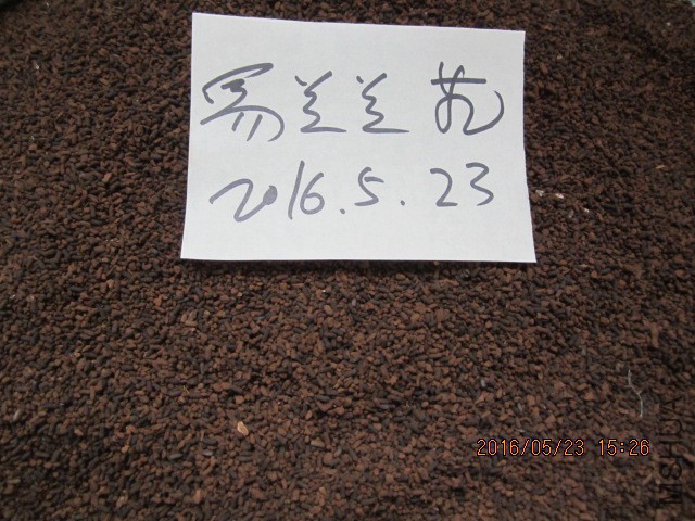 IMG_6280.JPG