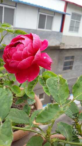 20160523_091317.jpg