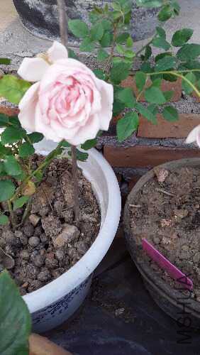 20160501_180149.jpg