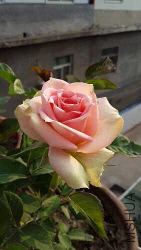 20160501_180030.jpg