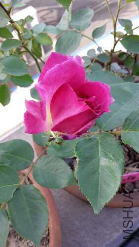 20160422_072838.jpg