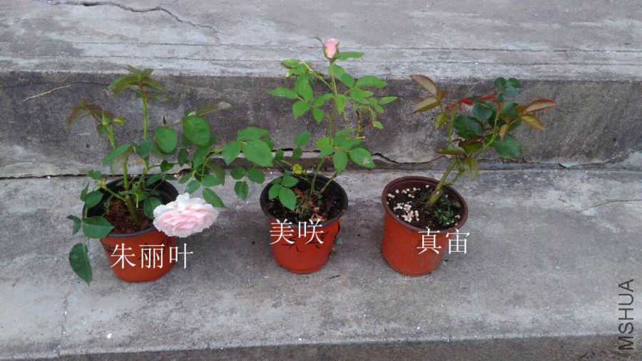 QQͼƬ20160523201440.jpg