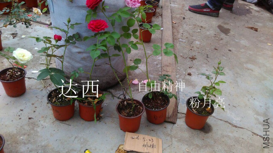 QQͼƬ20160523201451.jpg