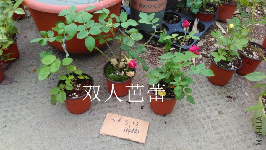 QQͼƬ20160523201456.jpg