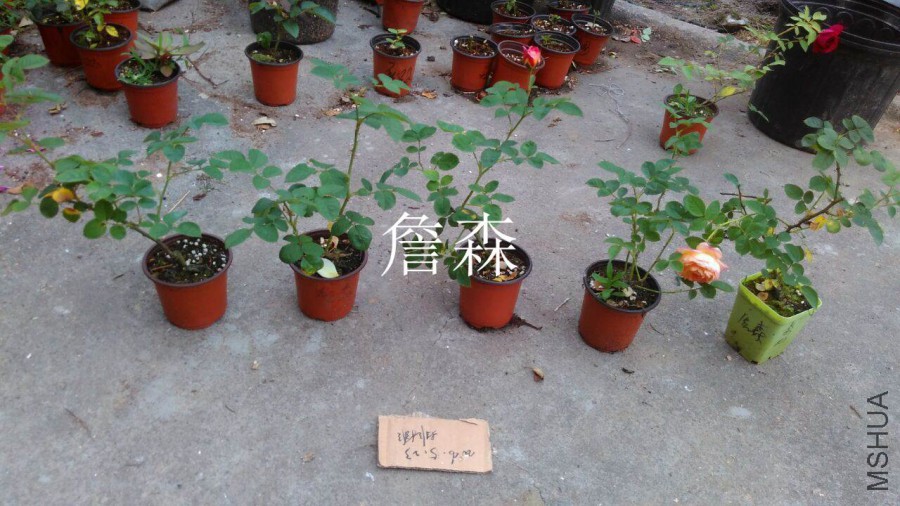 QQͼƬ20160523201459.jpg