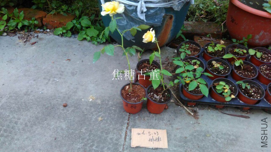 QQͼƬ20160523201515.jpg