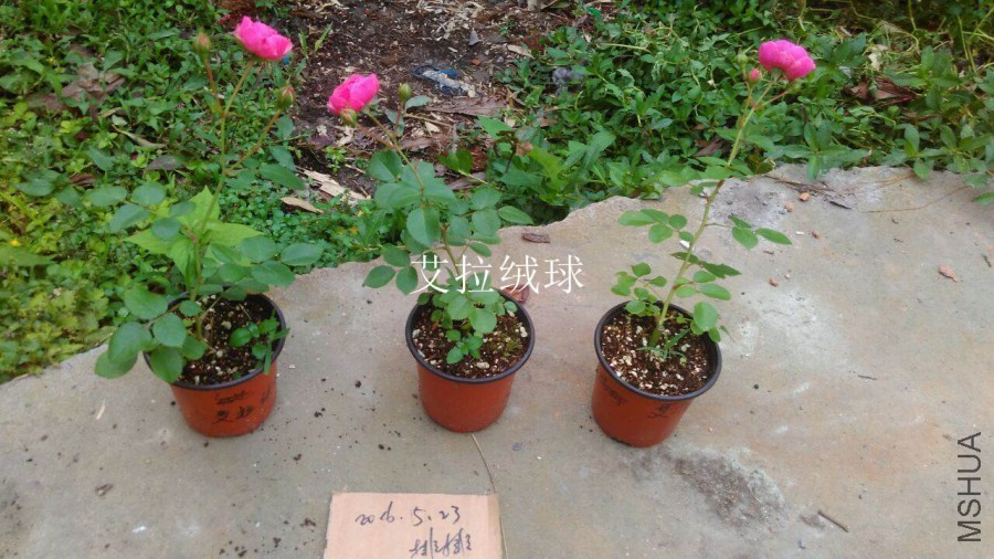 QQͼƬ20160523201526.jpg