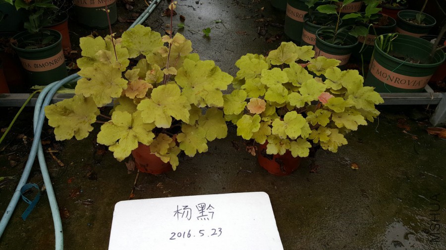 20160523_174444.jpg