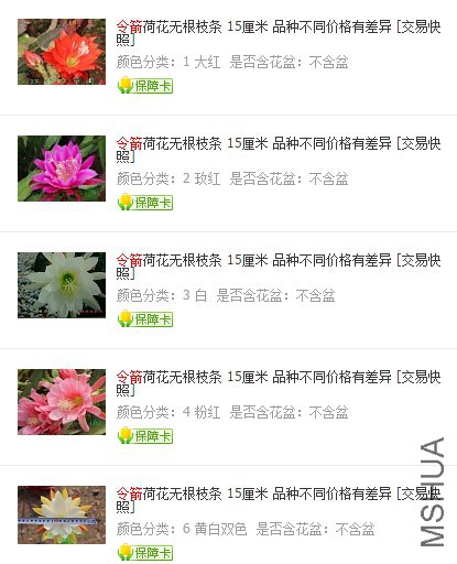 QQ��ͼ20160523205454.jpg