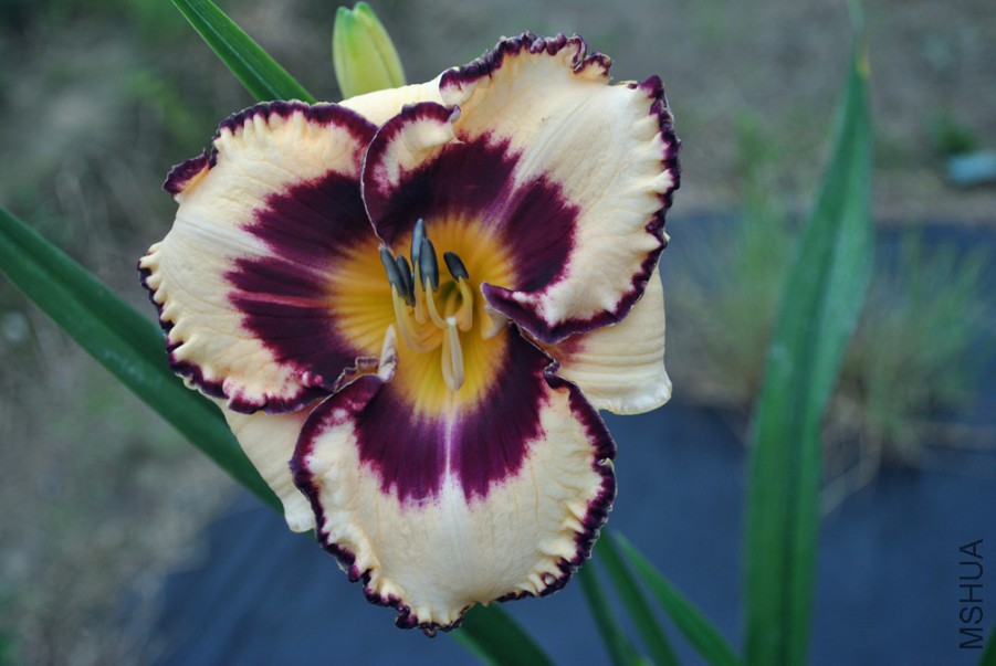 ���ٱ��� (2).jpg