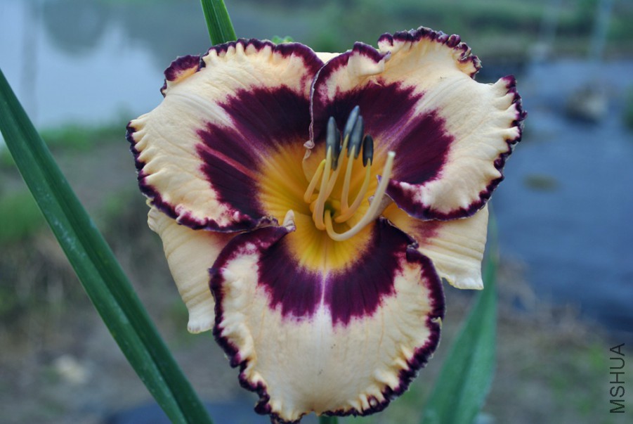 ���ٱ��� (3).jpg