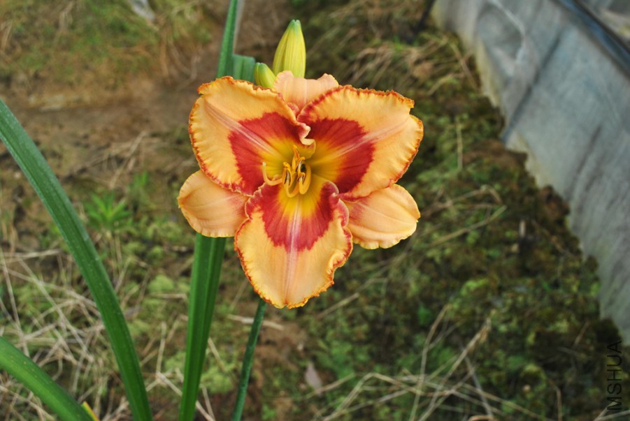 F1��864���ֱ��� (4).jpg