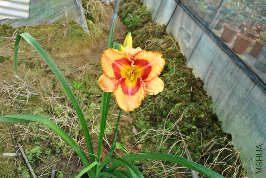 F1��864���ֱ��� (3).jpg