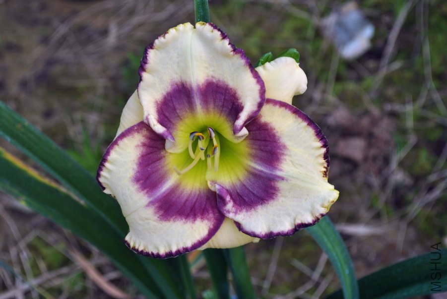 F1��892���α��� (1).jpg