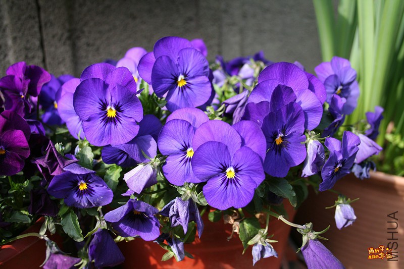 ��Ƭ 036_����.jpg