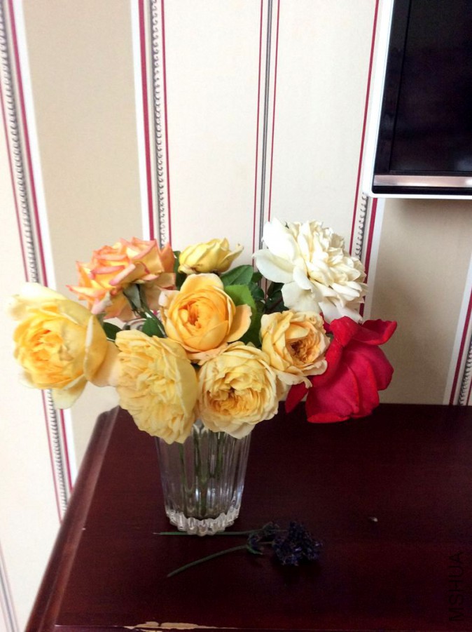 ��Ƭ 051.jpg