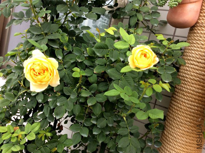 ��Ƭ 058.jpg