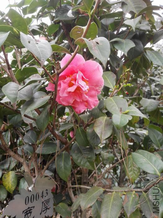 IMG_20160305_145726.jpg
