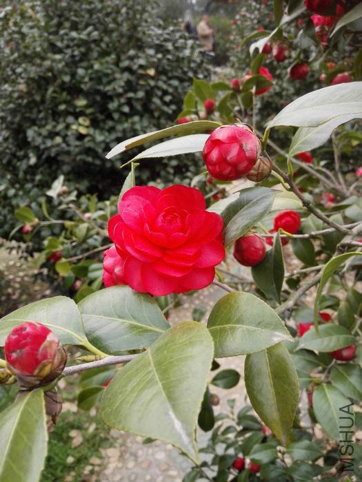 IMG_20160305_150328.jpg