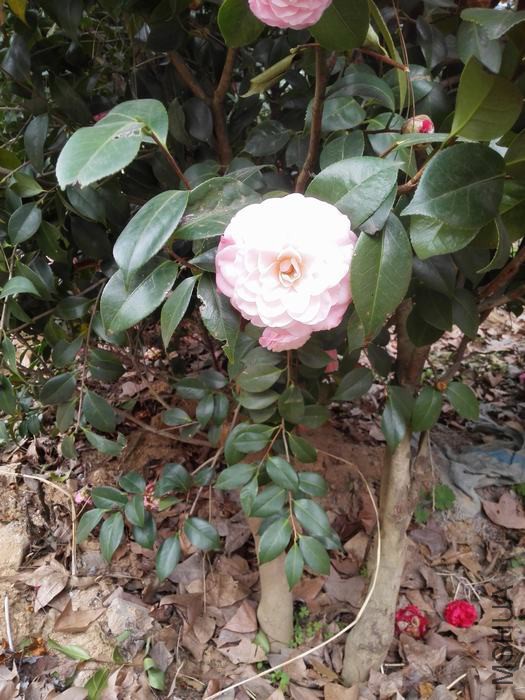 IMG_20160305_150940.jpg
