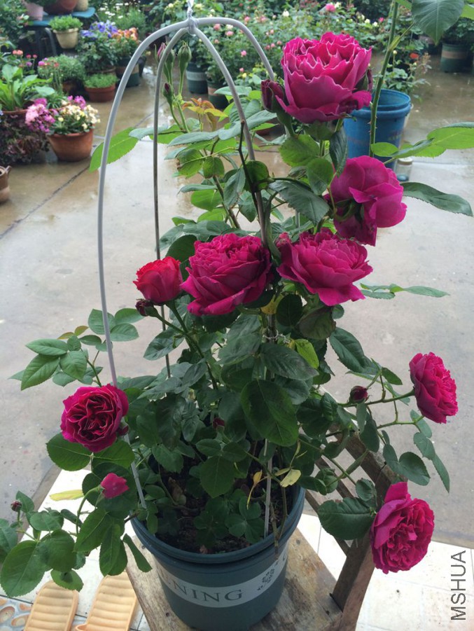 �������С���һ�꿪��