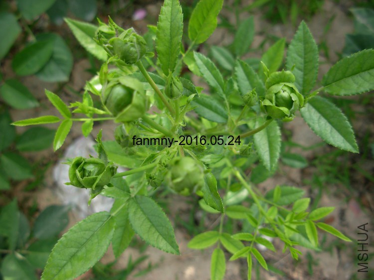 DSCN0328.JPG