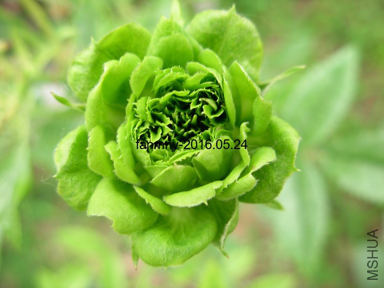 DSCN0415.JPG