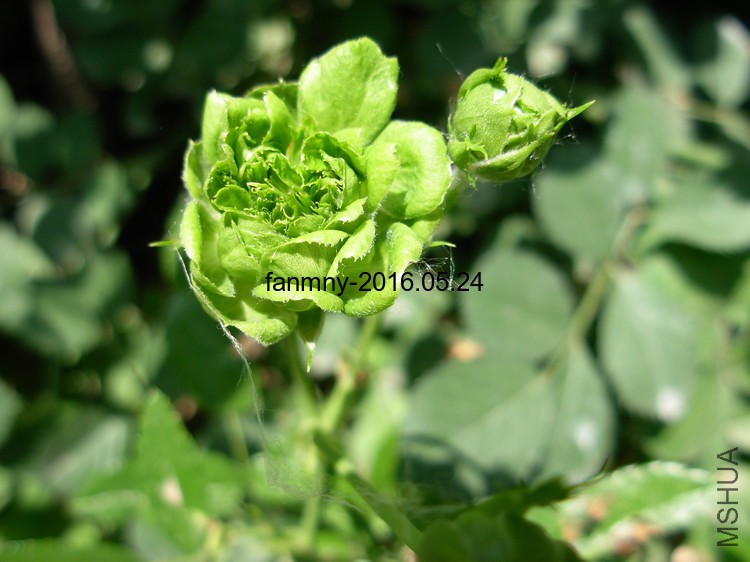 DSCN0431.JPG