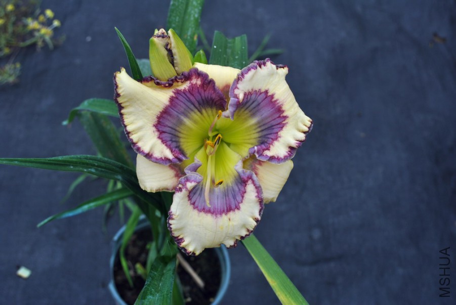 �������� (2).jpg