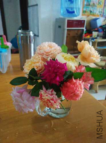 IMG_20160525_081335.jpg