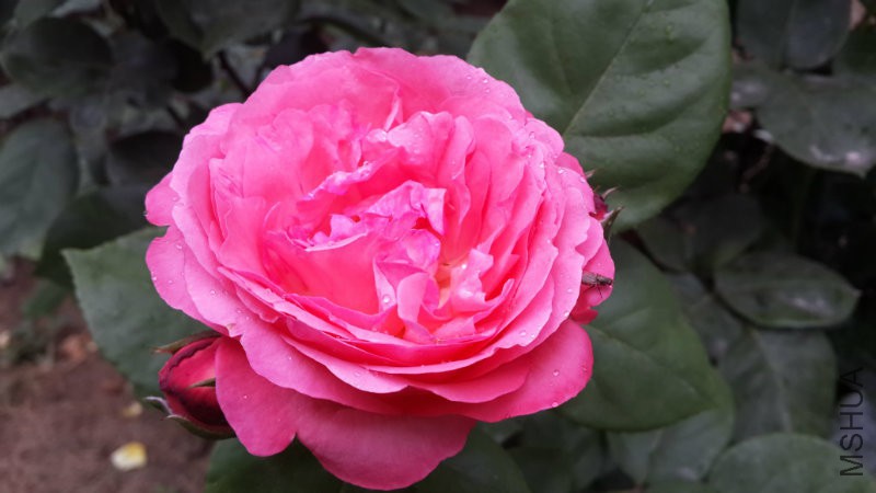 20160523_150500.jpg