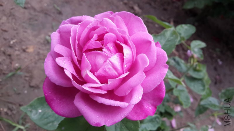 20160523_150544.jpg