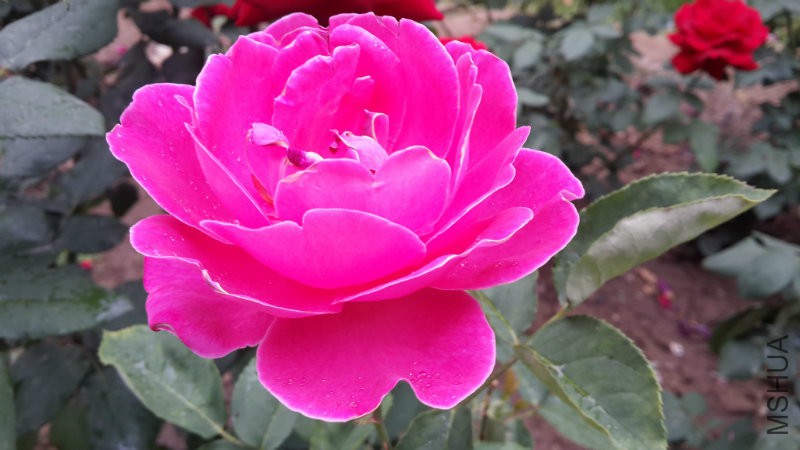 20160523_150618.jpg
