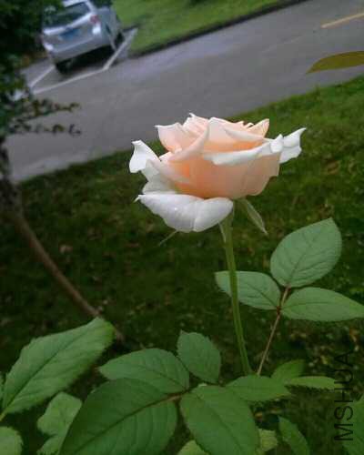 bmz_20160525T014807.jpg