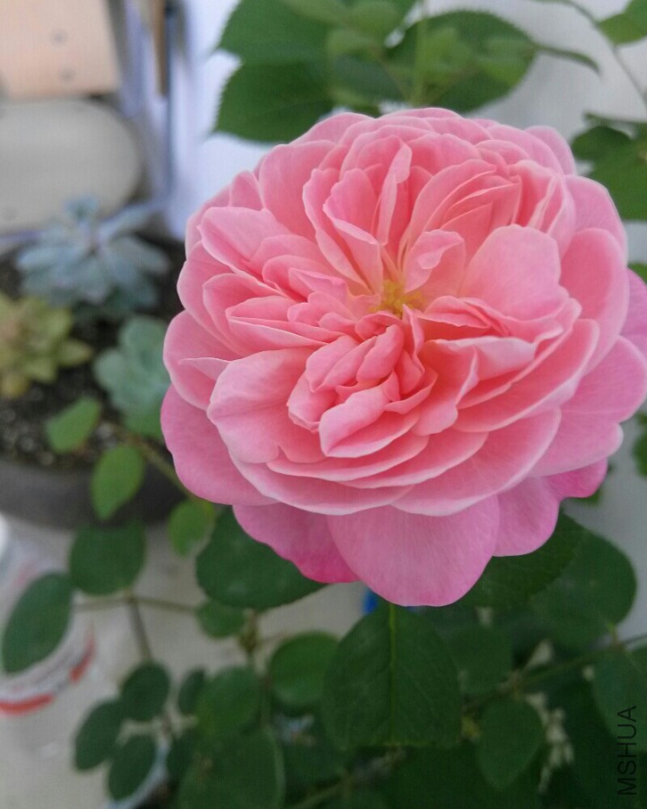 bmz_20160525T015220.jpg