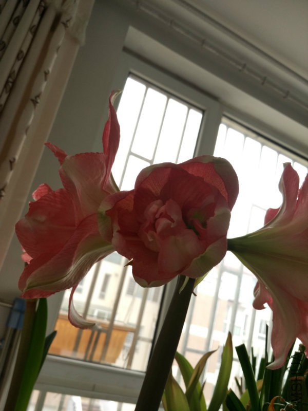 IMG_20160305_140337.jpg