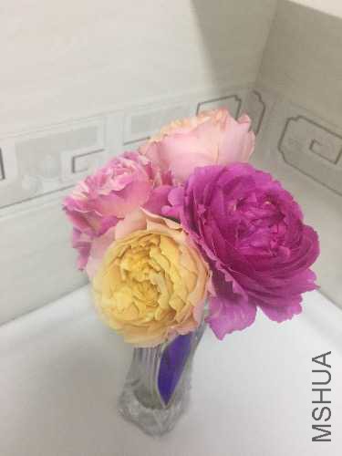 image.jpeg