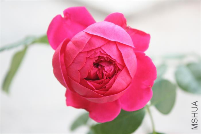 �����Ǻ�����